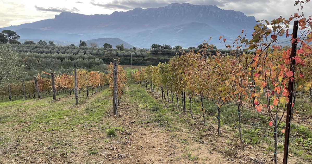 WebGIS per la gestione delle aziende agricole